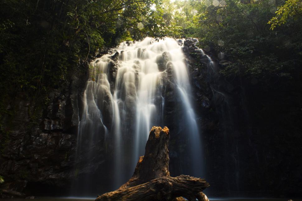 Free Image of Majestic Waterfall in Dense Forest 