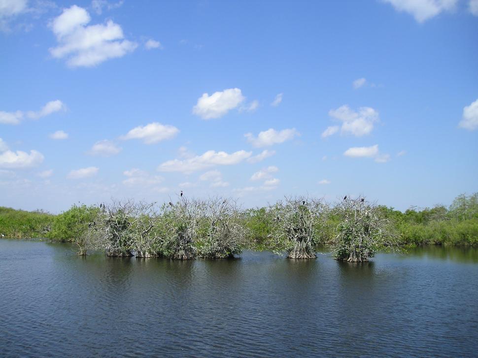 Free Image of Everglades National Park (a) 