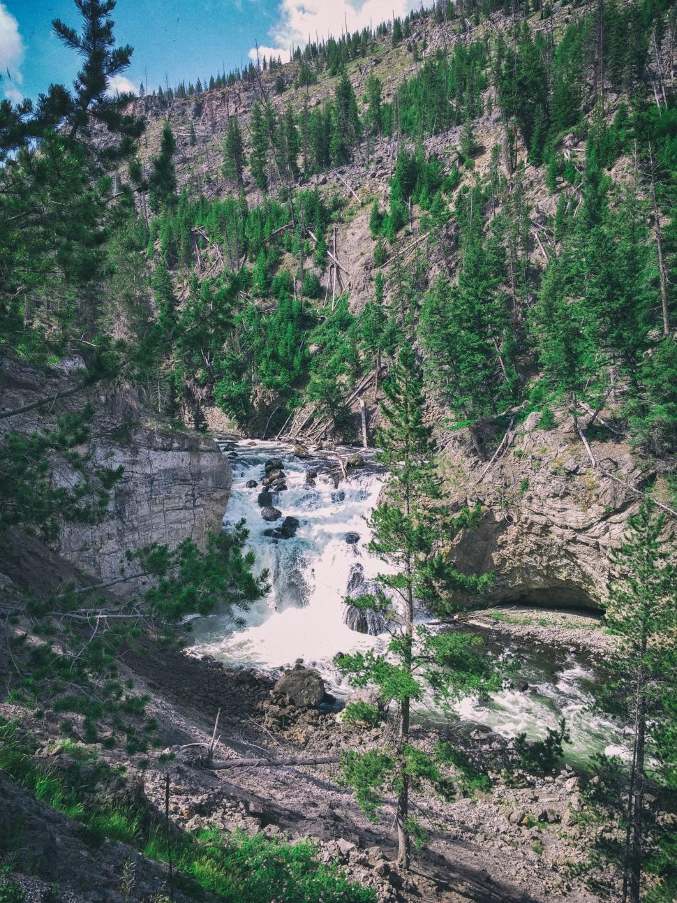 Free Image of River Flowing Through Lush Green Forest 