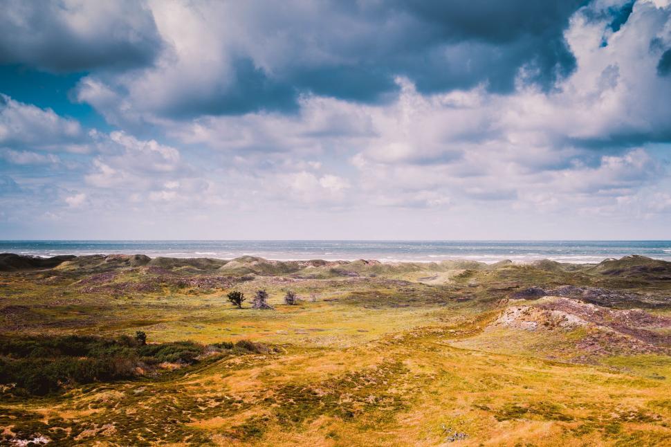 Free Image of Grassy Field With Distant Body of Water 