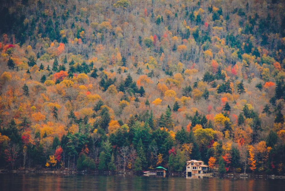 Free Image of Boat Floating on Lake Surrounded by Trees 