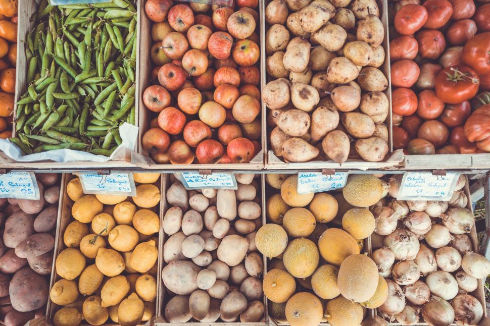 Free Image of Variety of Fruits and Vegetables on Display 