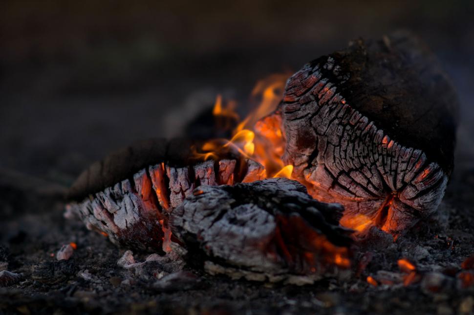 Free Image of Intense Fire Burning in a Fireplace 
