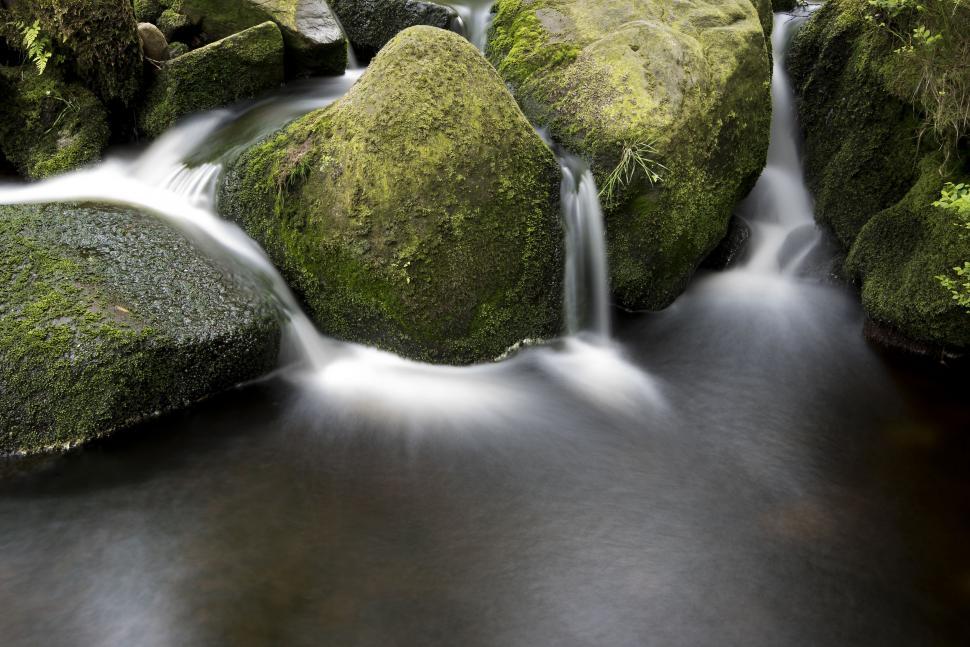 Free Image of Stream Flowing Through Lush Green Forest 