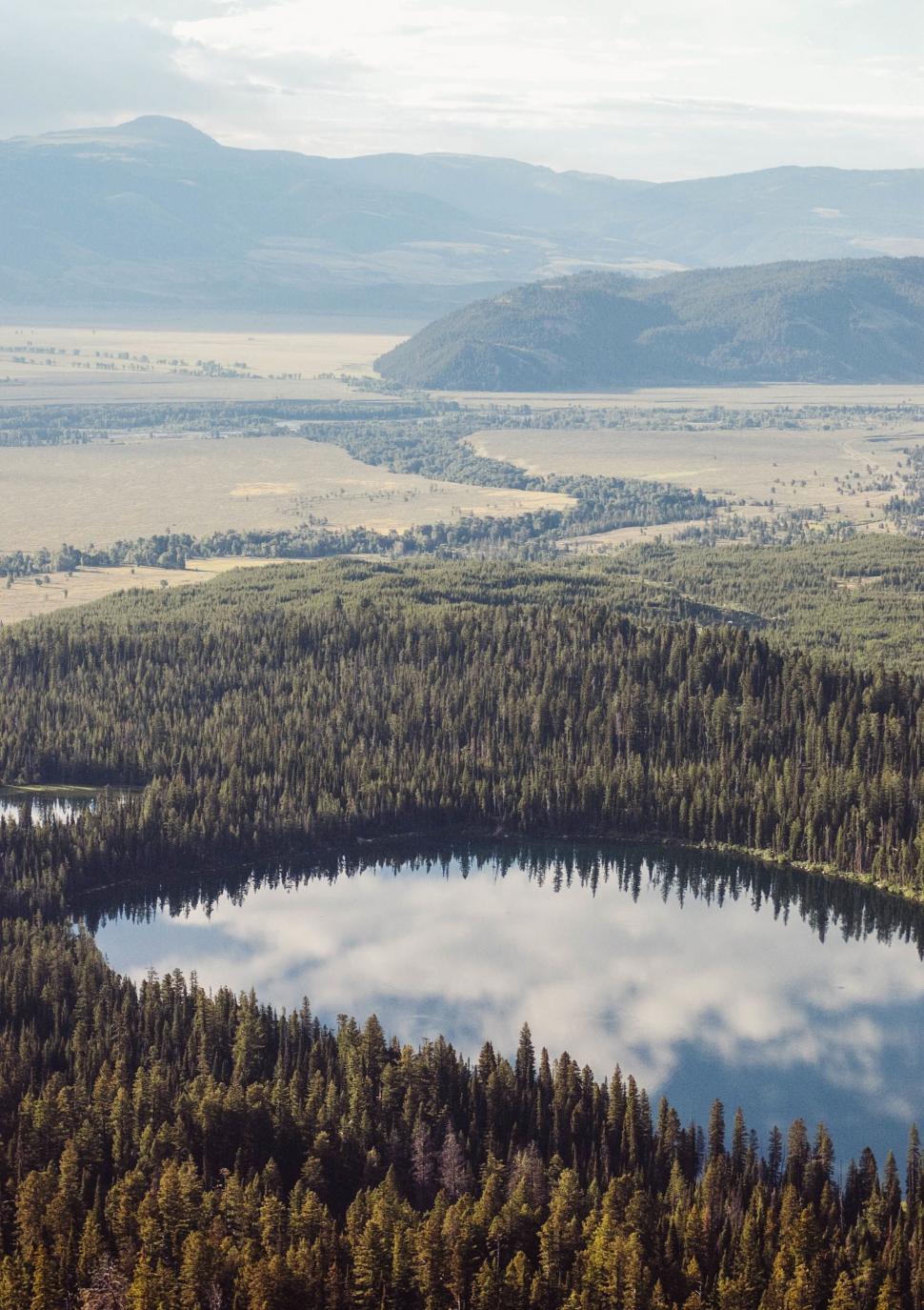 Free Image of Aerial View of Lake Surrounded by Trees 
