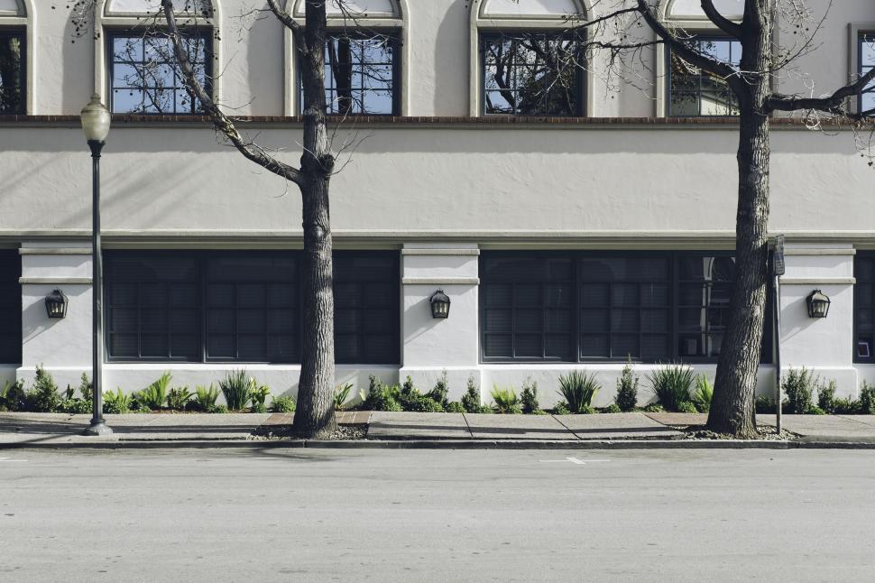 Free Image of Man Skateboarding Down Street Past Tall Buildings 