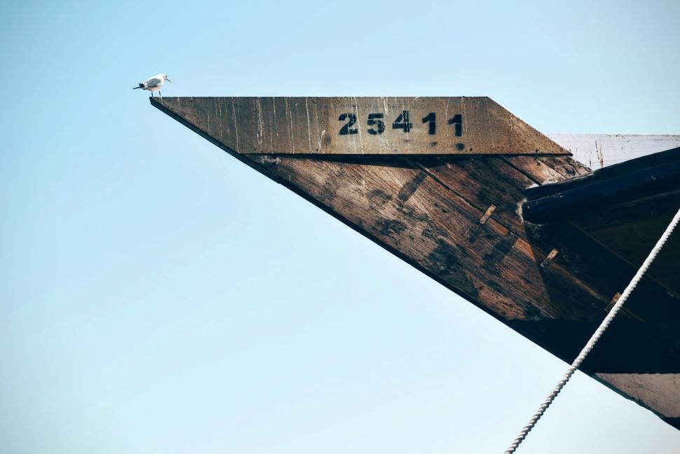 Free Image of Bird Sitting on Wooden Structure 