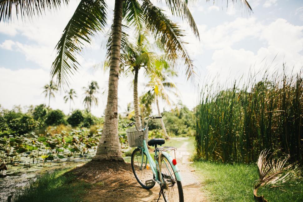 Free Image of Bike Parked on Side of Dirt Road 
