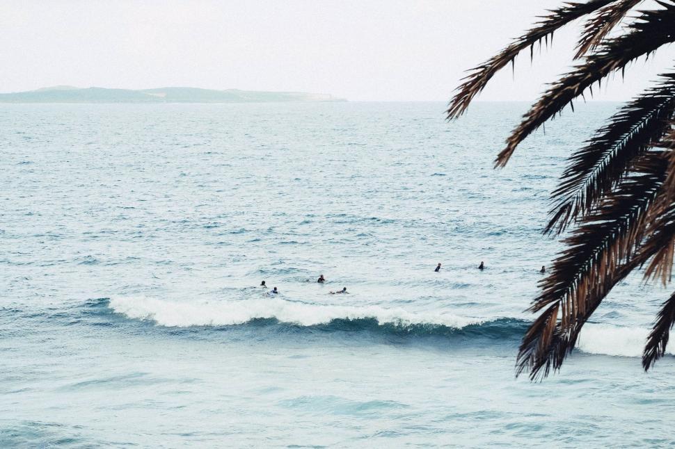 Free Image of Surfers Riding a Wave in the Ocean 