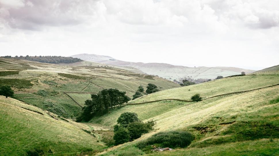 Free Image of Rolling Green Hillside Covered in Lush Grass 