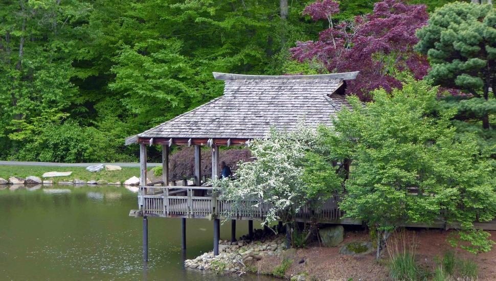 Free Image of Japanese Garden Tea House 