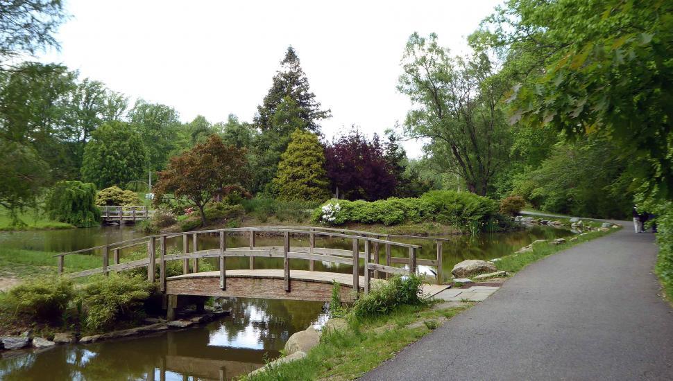 Free Image of Japanese Garden Wooden Bridges 