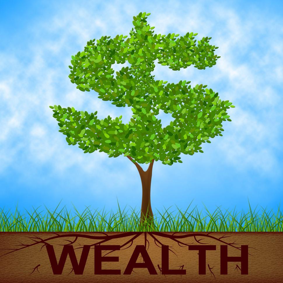Free Stock Photo of Wealth Tree Shows American Dollars And Branch