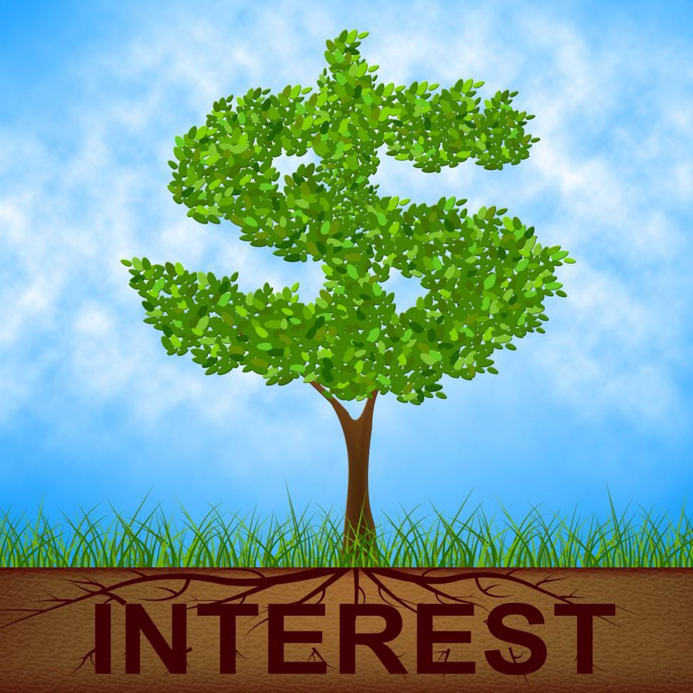 Free Image of Interest Tree Shows American Dollars And Branch 