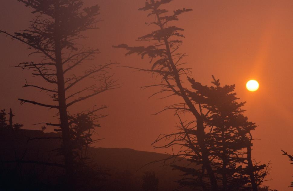 Stunning sunrise view over Acadia National Park from Cadillac Mountain with vibrant colors reflecting over the Atlantic Ocean