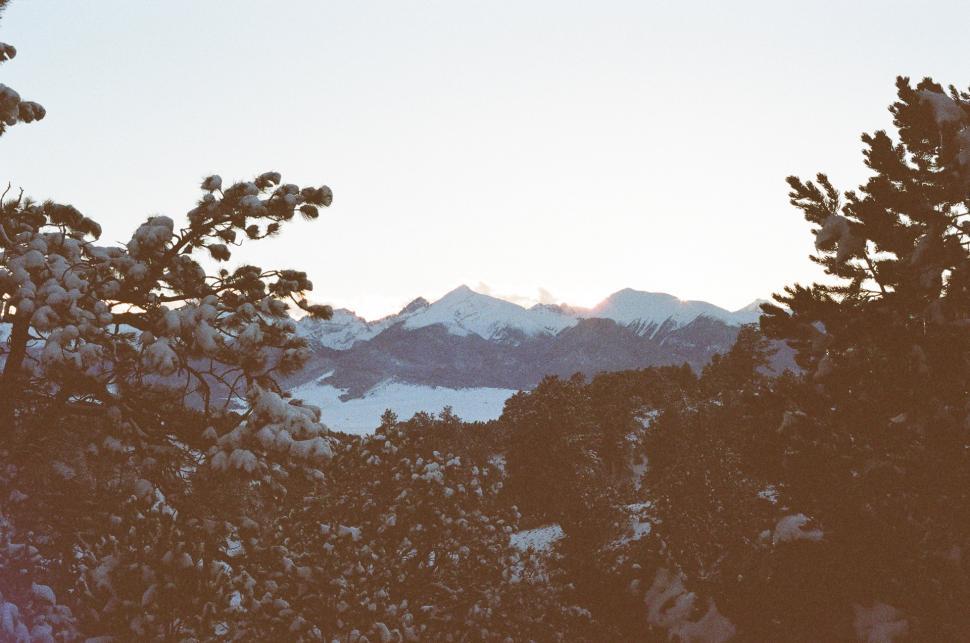 Free Image of Snowy Mountain Range Peeking Through Trees 