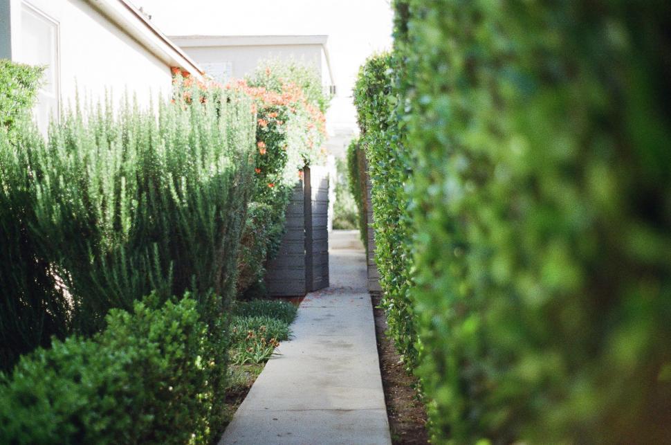 Free Image of Long Narrow Sidewalk Between Two Buildings 