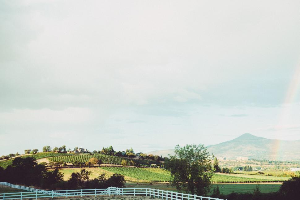 Free Image of White Horse Grazing in Field With Rainbow in Background 