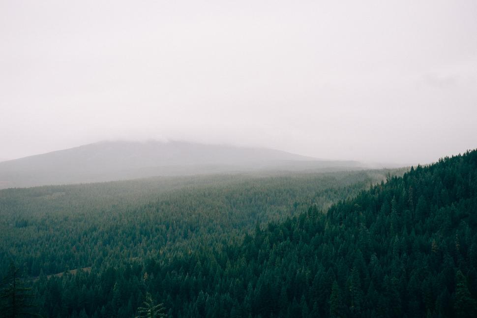 Free Image of Mountain View With Foreground Trees 