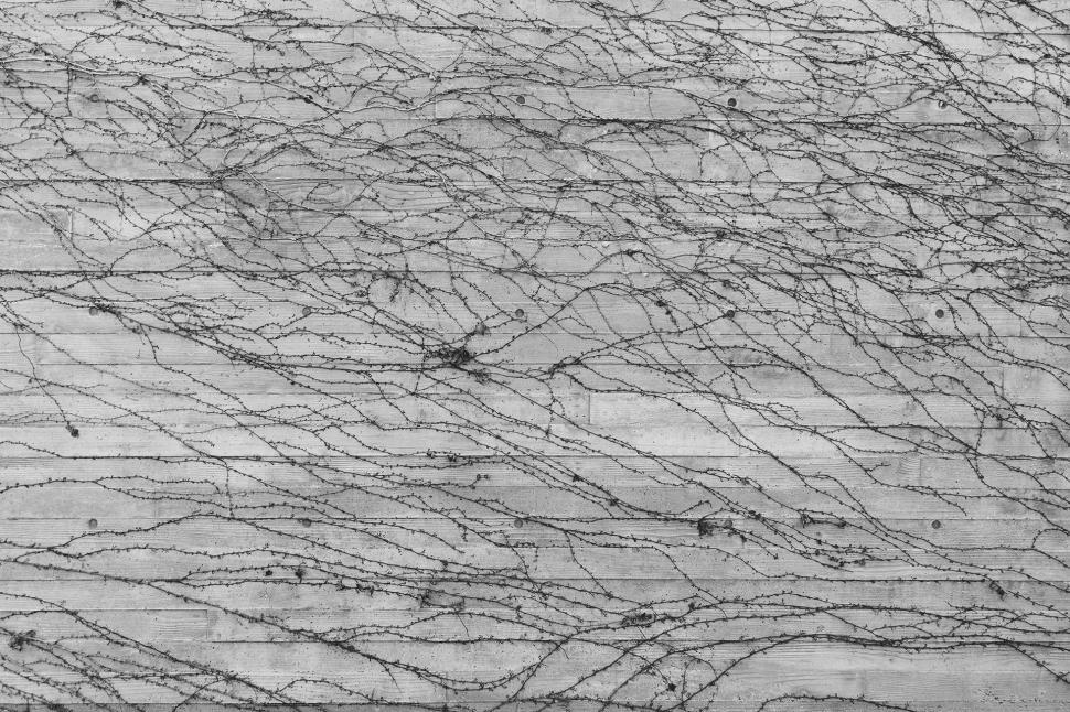 Free Image of Black and White Wooden Floor 
