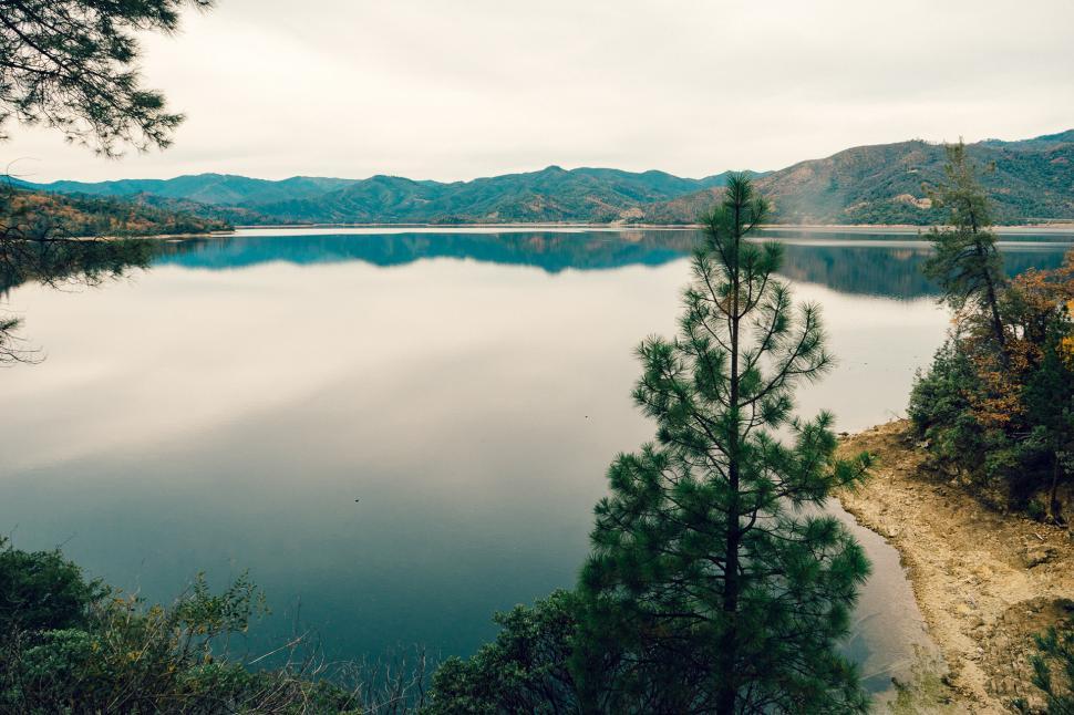 Free Image of Large Body of Water Surrounded by Trees 