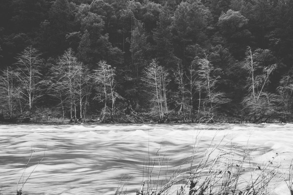 Free Image of Tranquil Lake Surrounded by Trees 