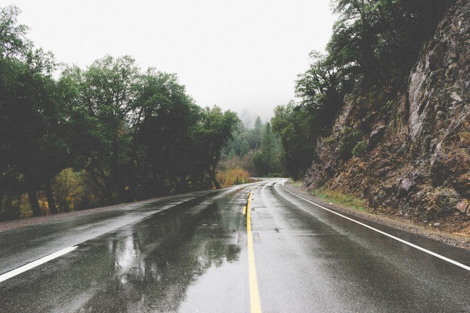 Free Image of Wet Road in the Middle of a Forest 