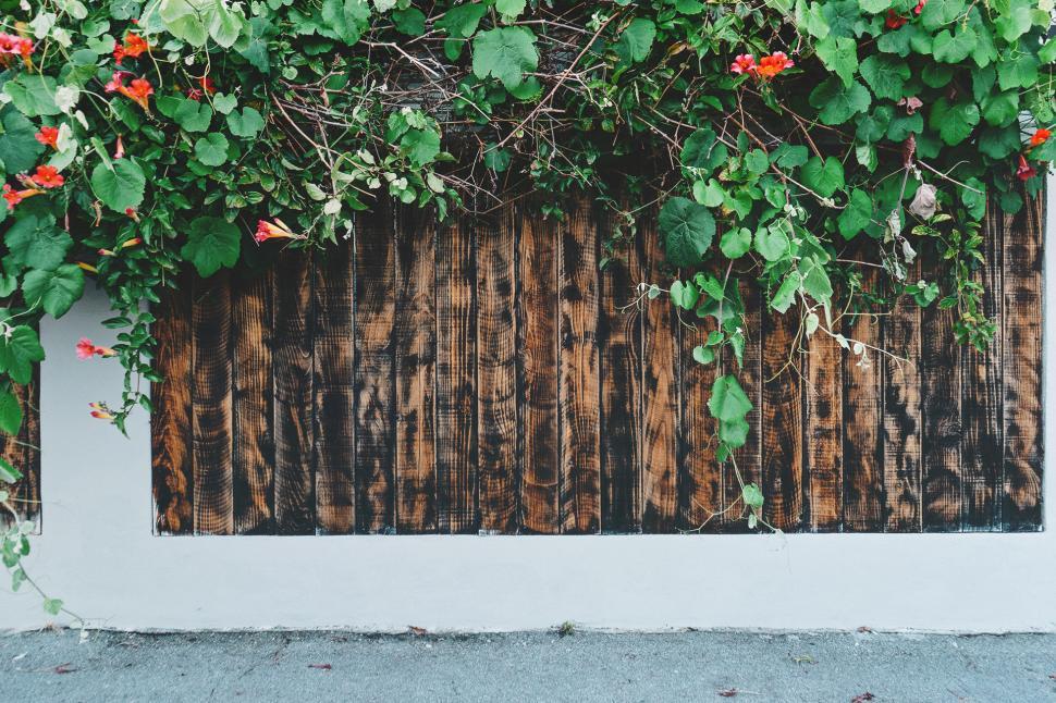 Free Image of Wooden Fence Covered in Vines and Flowers 