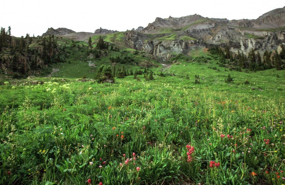 Free Stock Photo of National Forest Download Free Images