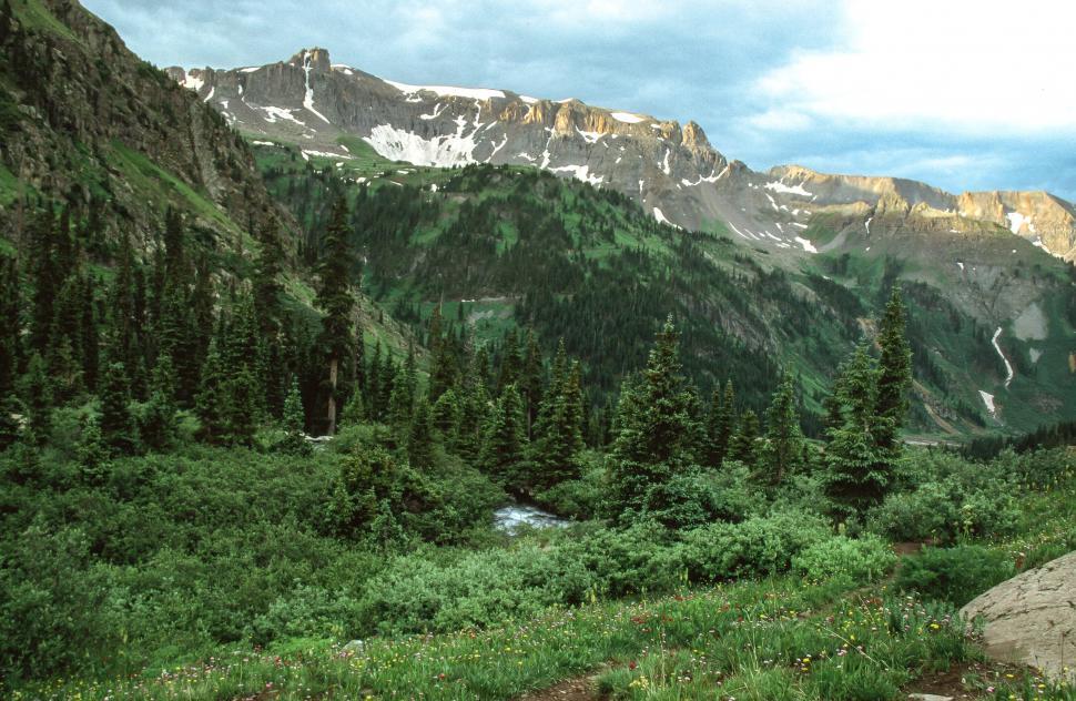 Free Stock Photo of National Forest Download Free Images