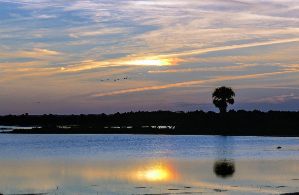 Free Image of Sunset silhouettes 