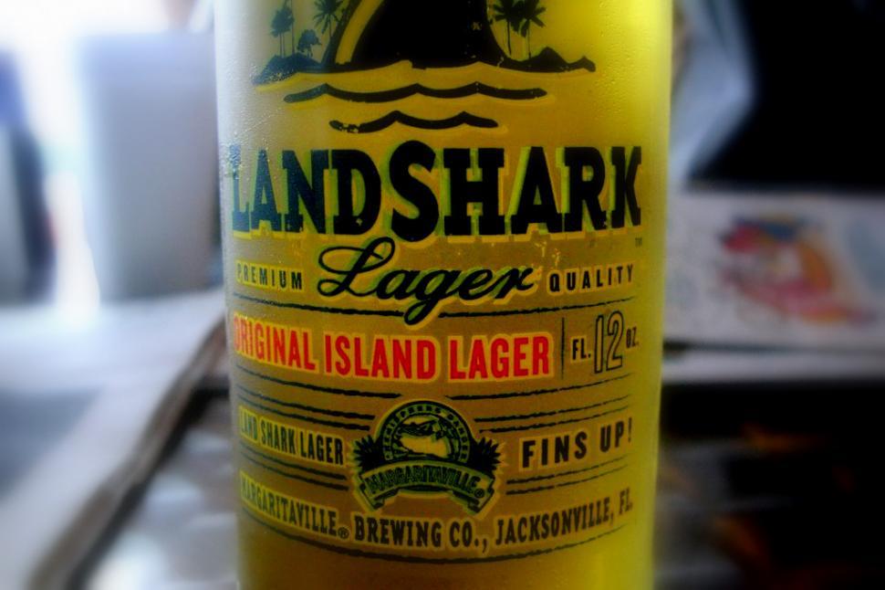 Free Image of Bottle of Beer on Table 