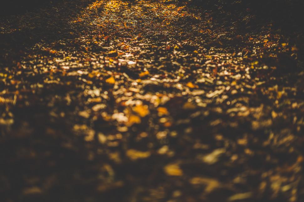 Free Image of Street Illuminated by Yellow Lights 