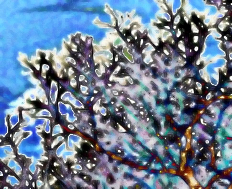 Free Image of The tree 