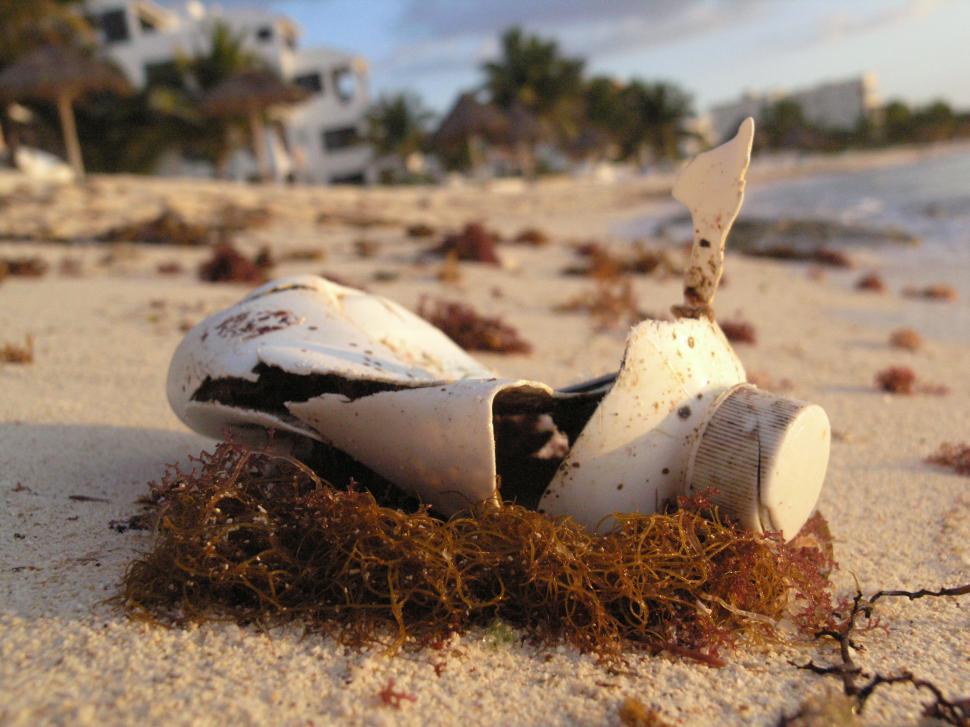 Free Image of bottle on beach 
