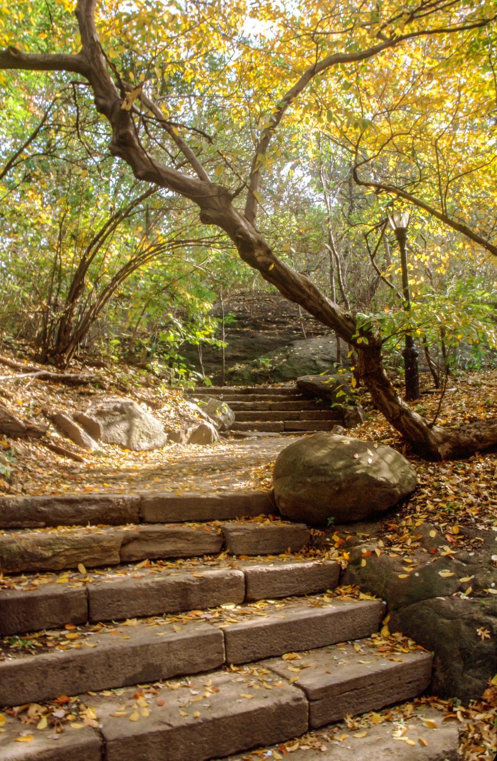 Free Image of Stone Stairs for hiking 