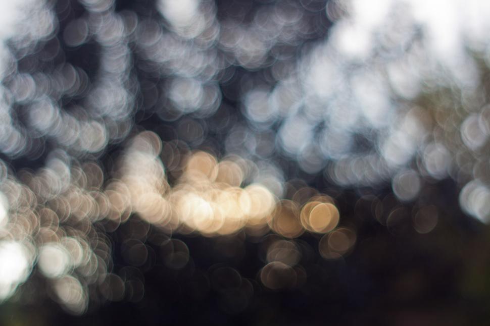 Free Image of Blurry Street With Trees in Background 