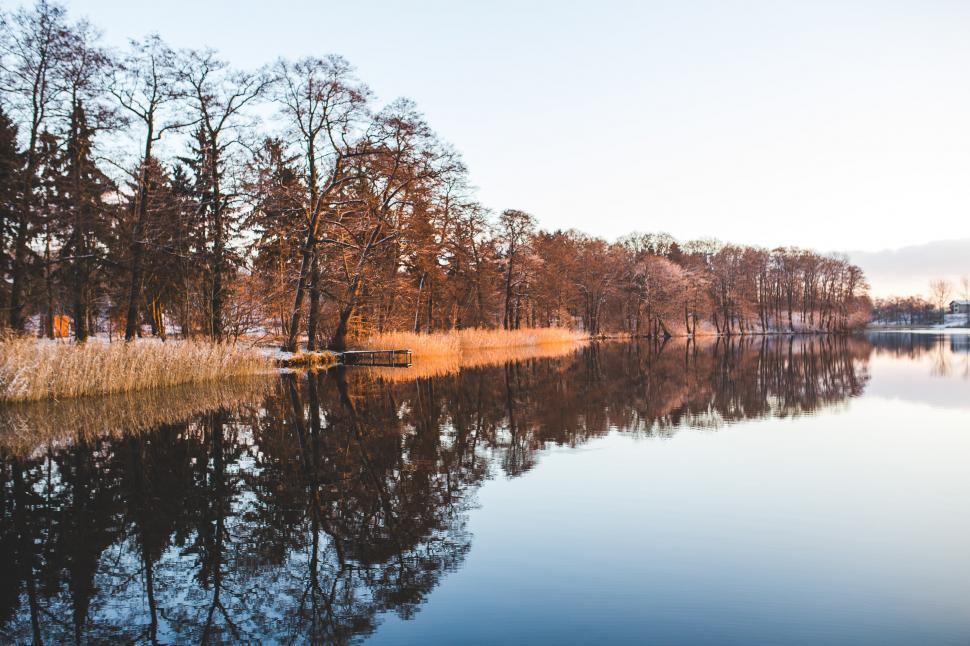Free Image of Body of Water Surrounded by Trees and Grass 