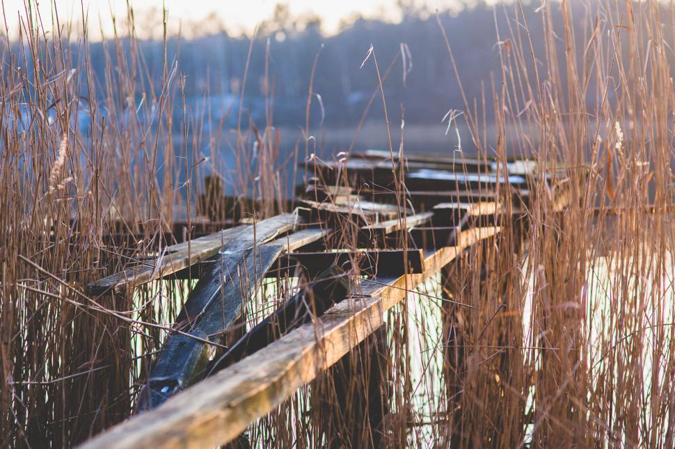 Free Stock Photo of Lake Old Ruin Weathered Wood broken pier wooden