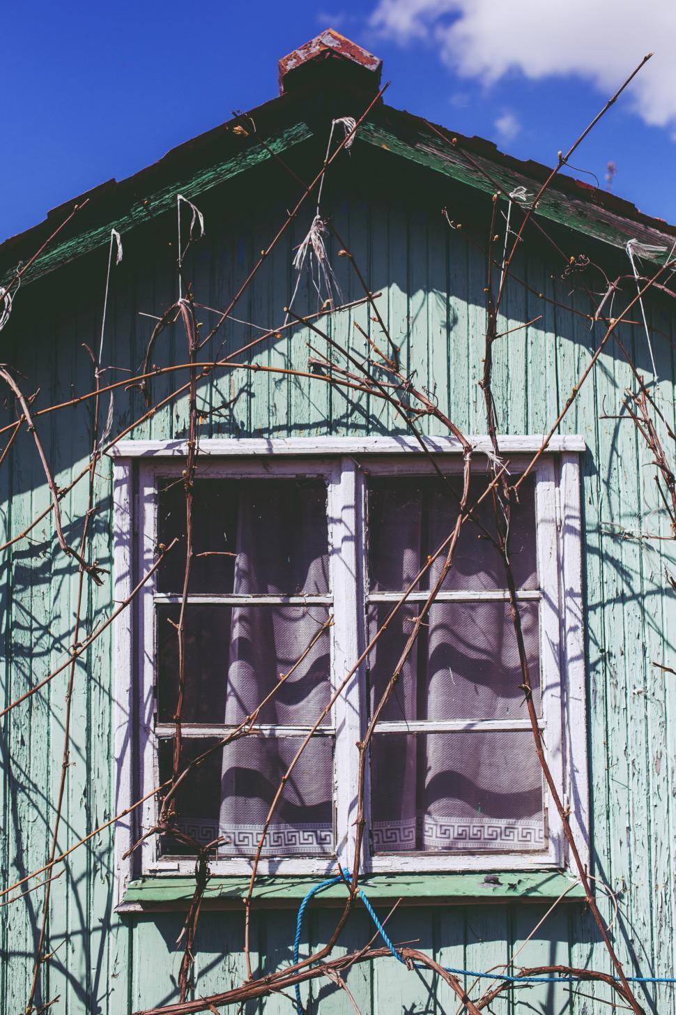 Free Image of Green Building With Window and Vines 