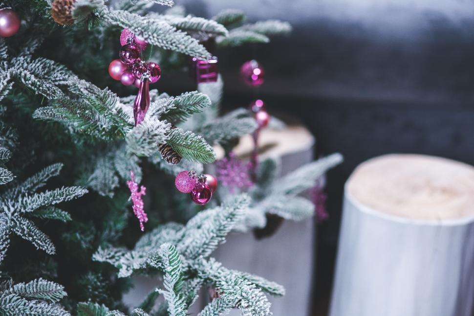 Free Image of Close Up of a Christmas Tree With Pink Ornaments 