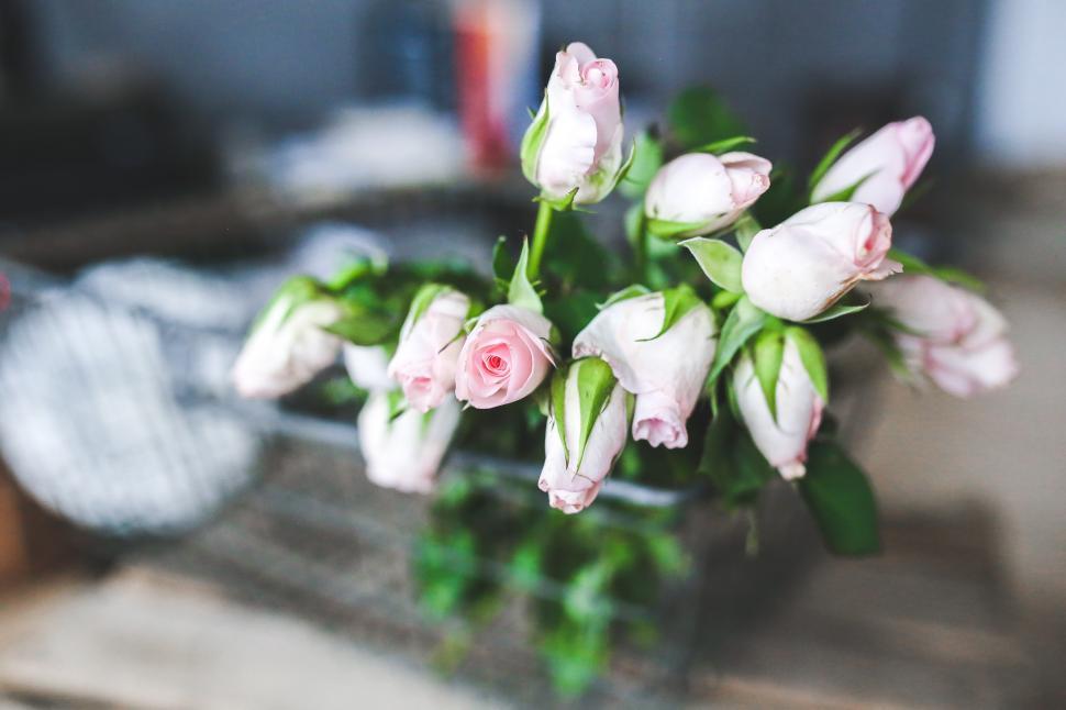 Free Image of Pink Flowers in Vase on Table 