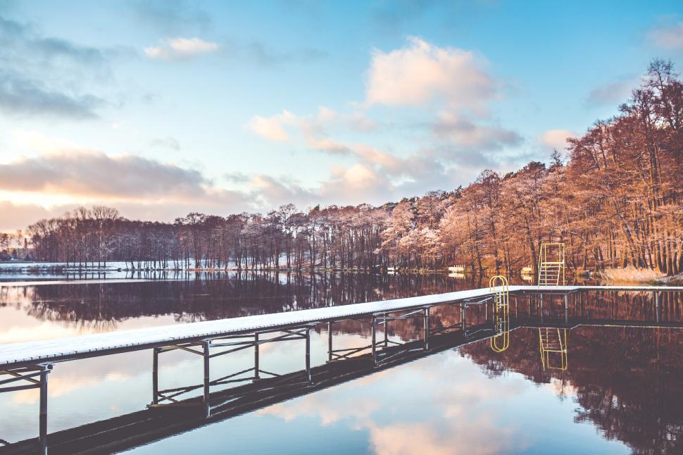 Free Image of Serene Lake Surrounded by Dense Forest 