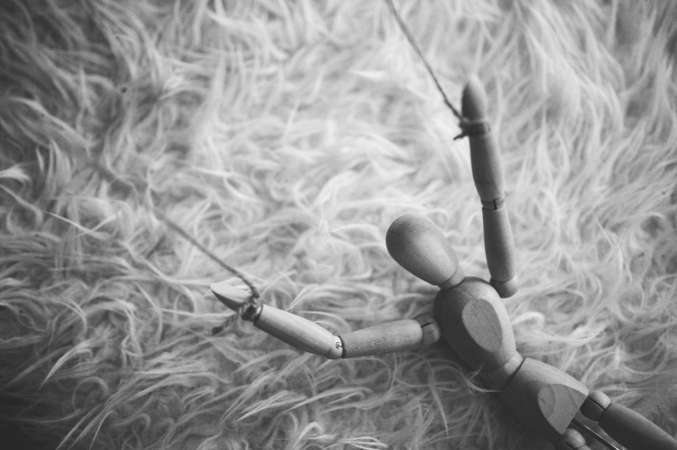 scissors-on-fur-pile.jpg