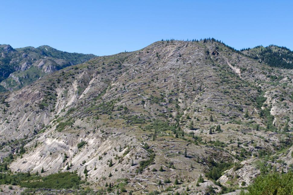 Free Stock Photo of Blast zone of Mount Saint Helens | Download Free ...