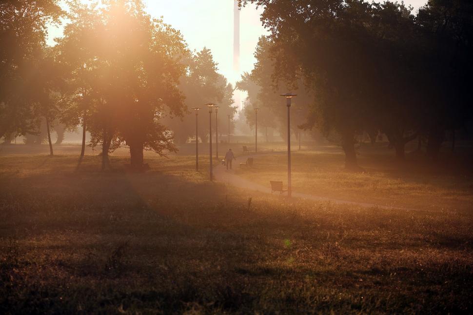 Free Image of Walk in the park  