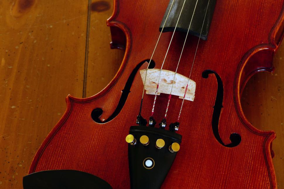 Free Stock Photo of Violin F Holes and Bridge Download Free Images