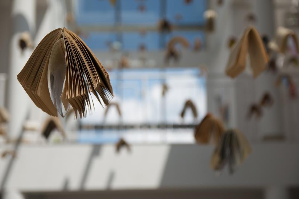 Free Image of Group of Birds Flying in the Air 