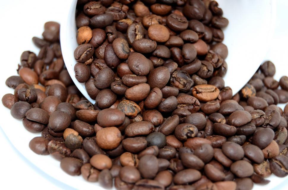 Free Image of White Spoon Filled With Coffee Beans on White Plate 