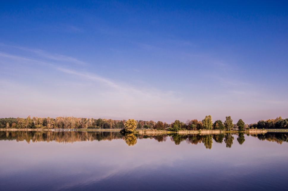 Free Image of Large Body of Water Surrounded by Trees 